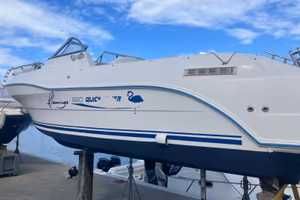 Quicksilver 620 Flamingo