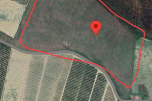 Terreno agricolo 8 ettari
