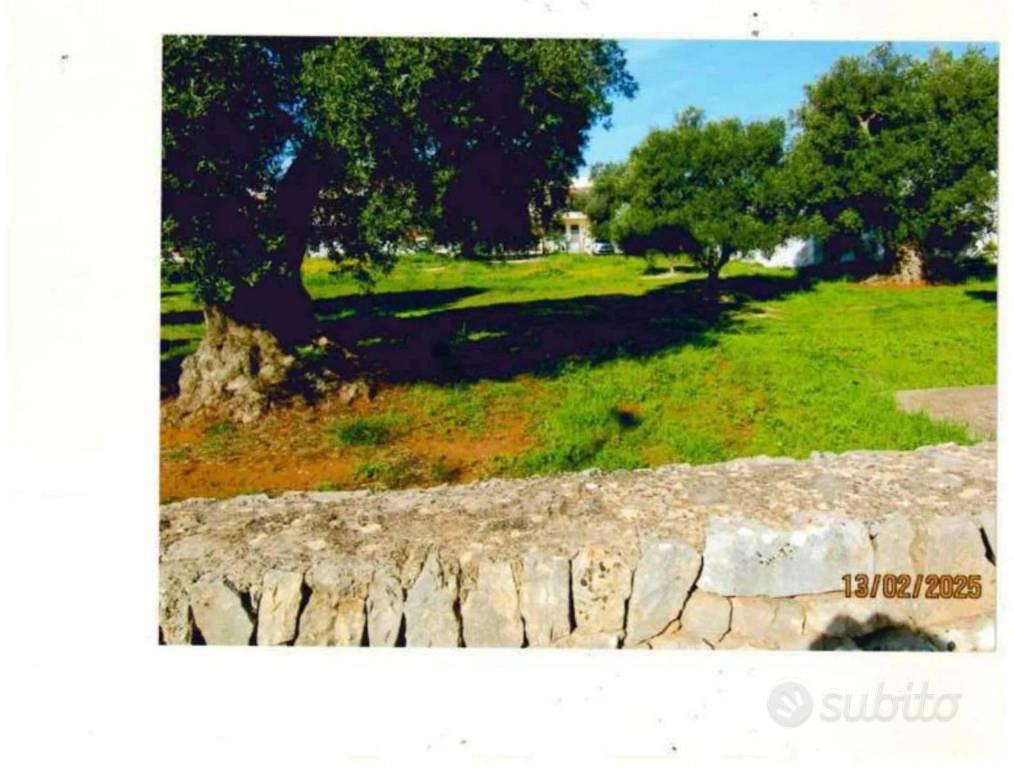 Immobile in asta di 3368 m² a Fasano - Altro