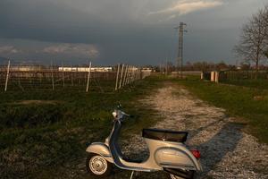 Vespa 125 primavera et3