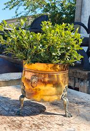 jardinière porta carbone