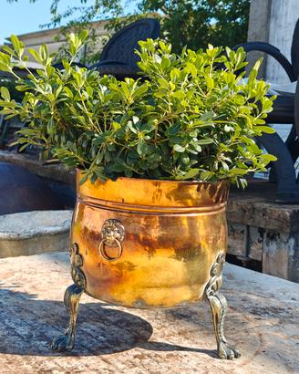 jardinière porta carbone