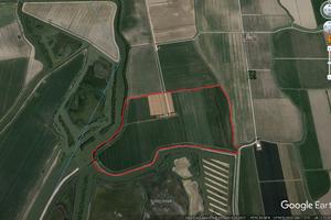 Terreno agricolo, Brussa di Caorle