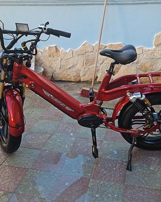 bici elettrica 