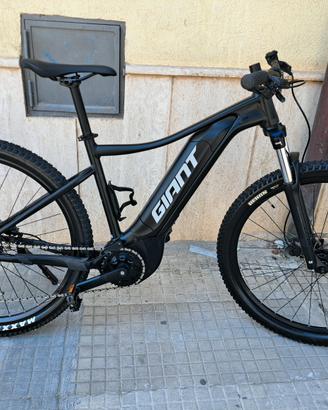 giant talon 29