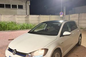 Volkswagen Golf 1.4 TGI DSG 5p. Executive BlueMoti