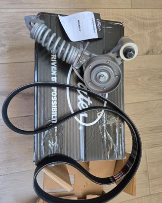 Kit Cinghie Poly V Gates K015PK1335