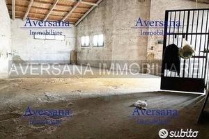 Locale artigianale indipendente di circa 90 mq