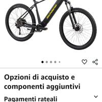 Bici elettrica fratelli Schiano