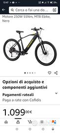 Bici elettrica fratelli Schiano