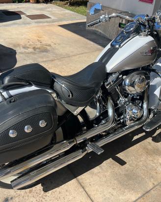 Harley davidson softail deluxe flstn
