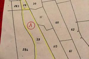 Uliveto e Seminativo