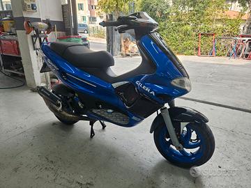 Gilera Runner 125 sp 2t Malossi 172