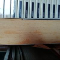 La ragazza senza volto