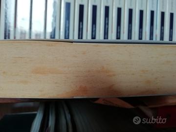 La ragazza senza volto