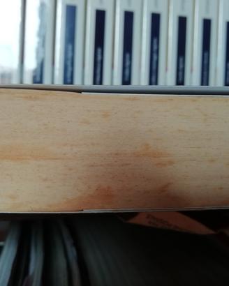 La ragazza senza volto