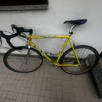 Bici Sintesi Enigma