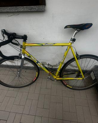 Bici Sintesi Enigma