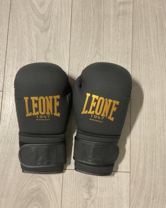 SET LEONE KICK BOXING