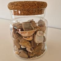 Vaso con ricordi di mare