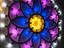 Immagine 4