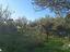 Immagine 20