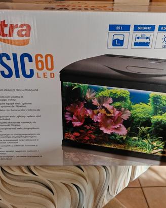 acquario amtra