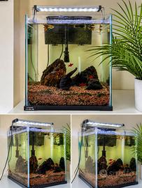 Acquario