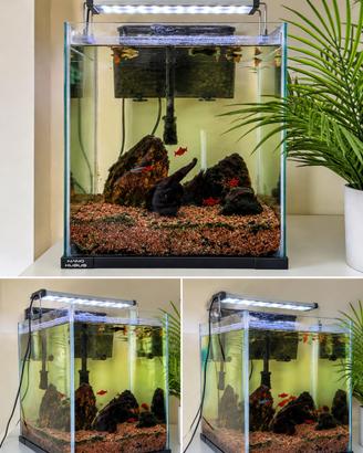 Acquario
