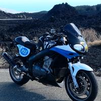 Triumph Sprint RS 955i (ENDURANCE)