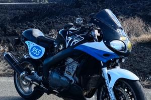 Triumph Sprint RS 955i (ENDURANCE)