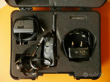 Collare di addestramento