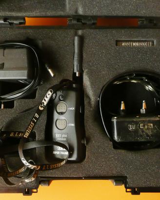 Collare di addestramento