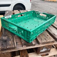 Cassette in plastica alimentare 60x40