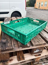 Cassette in plastica alimentare 60x40