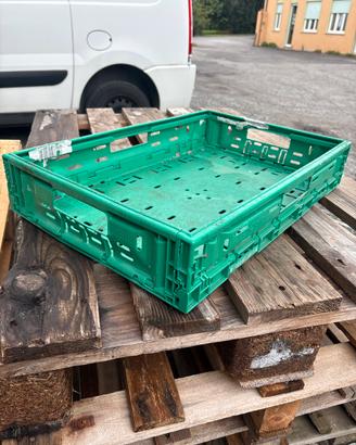 Cassette in plastica alimentare 60x40