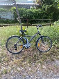 bicicletta