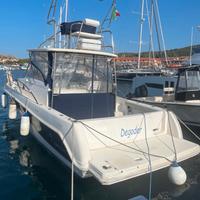 Faeton Moraga Open 980