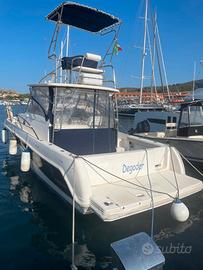 Faeton Moraga Open 980