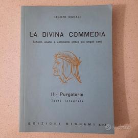 La Divina Commedia Purgatorio