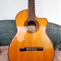 TAKAMINE EG522C