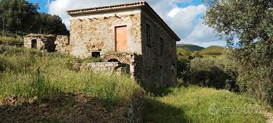 Casolare con 2 ettari di uliveto panoramicissimo