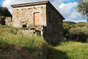 Casolare con 2 ettari di uliveto panoramicissimo