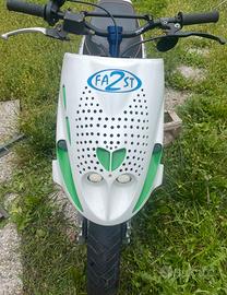 Carene x Phantom F12