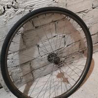 ruota posteriore da 28