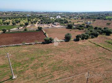 TER. AGRICOLO A POLIGNANO A MARE