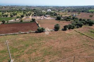 TER. AGRICOLO A POLIGNANO A MARE