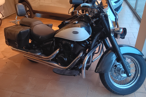 Kawasaki vn 900 imm 014