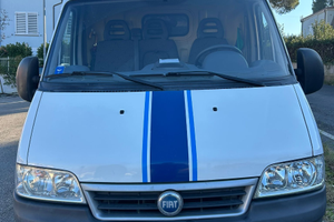 Ducato