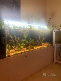 Acquario con supporto in acciaio